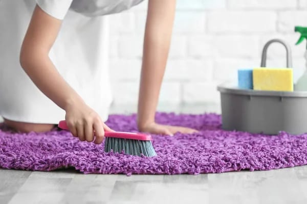 Professional Carpet Cleaning