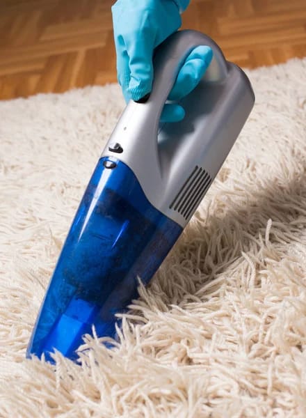 Rug Cleaning